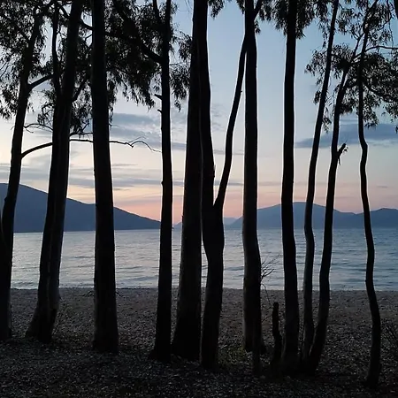 Lilly, With Communal Pool, 10 Meters From Sea Apartman *